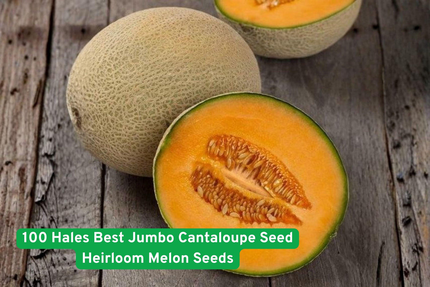 Heirloom Cantaloupe Seeds | Jumbo Hale’s Best Orange Melon | Non-GMO, Sweet Flesh, Fruit Vine, Cucumis melo