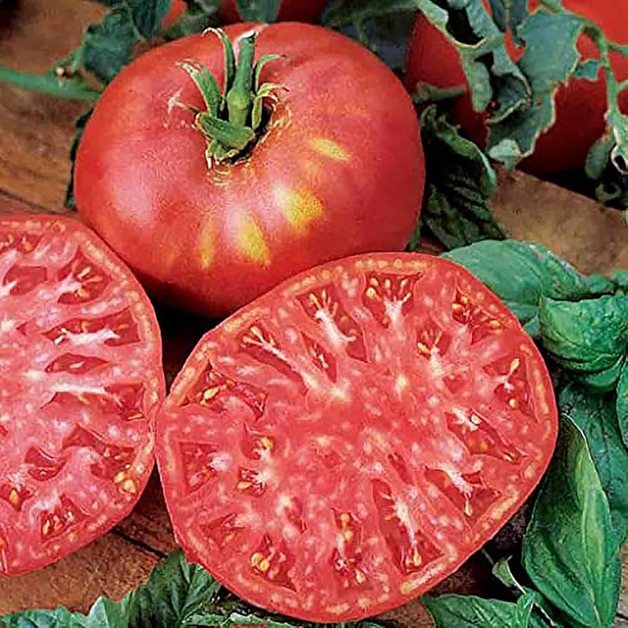 30 Seeds Pink Brandywine Tomato - Heirloom Juicy Flavorful Variety - Solanum lycopersicum