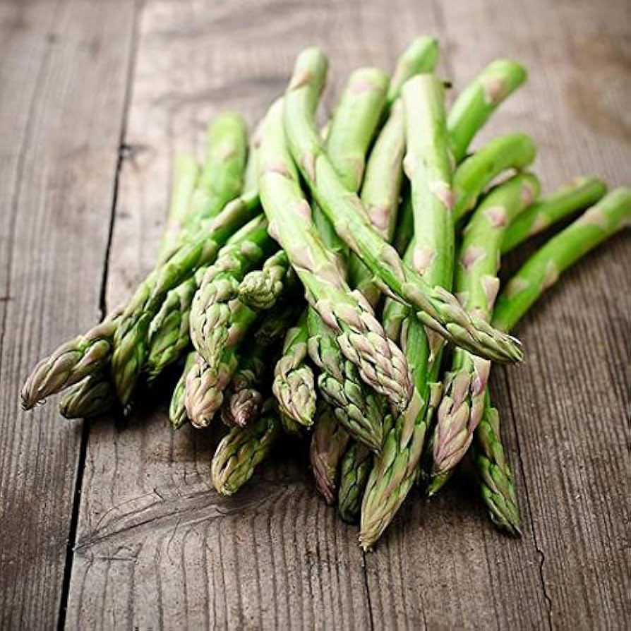Asparagus Seeds 1g Mary Washington Heirloom Perennial Asparagus officinalis | Non-GMO Vegetable for Garden Planting