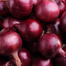 Red Grano Onion Seeds - Heirloom Non-GMO - Mild & Crisp - Allium Cepa - Perfect for Salads & Burgers - 110 Days to Maturity