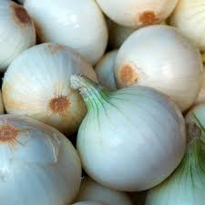 White Sweet Spanish Onion Seeds | Heirloom Non-GMO | Sweet Mild Flavor | Allium cepa | Long-Day Variety for USDA Zones 3-9