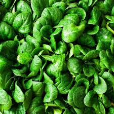 Spinach Seeds 1g Bloomsdale Long Standing Heirloom Non-GMO Spinacia oleracea Rich Flavor Cool-Season Vegetable