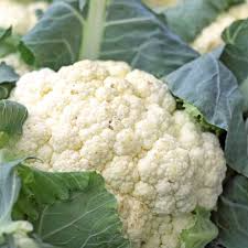 500mg Cauliflower Seeds - Snowball Y Improved, Heirloom Brassica oleracea, Organic Non-GMO, Easy to Grow Vegetable Seeds