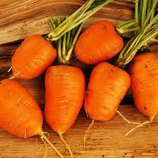 Oxheart Carrot Seeds | Heirloom Non-GMO | Sweet Orange Roots | Daucus carota | Ideal for Zones 2-10 | 5-6 Inch Length