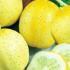 Lemon Cucumber Seeds - Heirloom, Non-GMO, Sweet Golden Yellow Cucumbers, Cucumis sativus, Ideal for Salads & Pickling