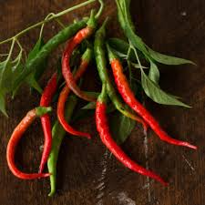 Cayenne Long Thin Pepper Seeds | Heirloom Non-GMO | 30,000-50,000 Scoville | Capsicum annuum | Perfect for Hot Sauces