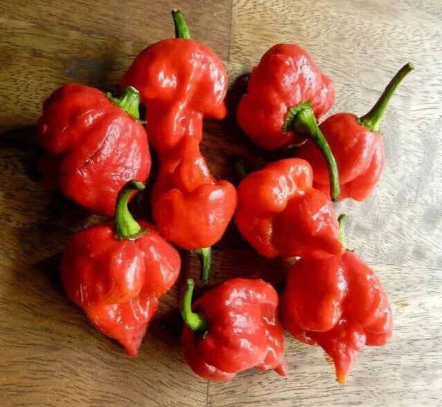 Super-Hot Pepper Seeds - 20 Premium Scorpion Butch T Red - Capsicum chinense - Non-GMO, Ideal for Gardening & Culinary Use