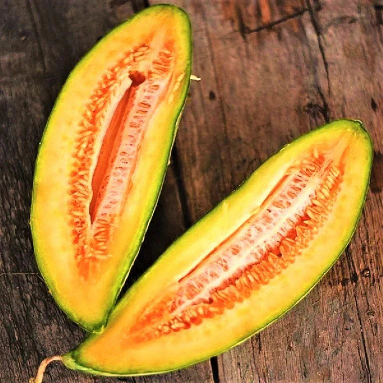 Cantaloupe Seeds - Heirloom Banana Variety - Cucumis Melo - 50+ Seeds for Summer Garden Planting