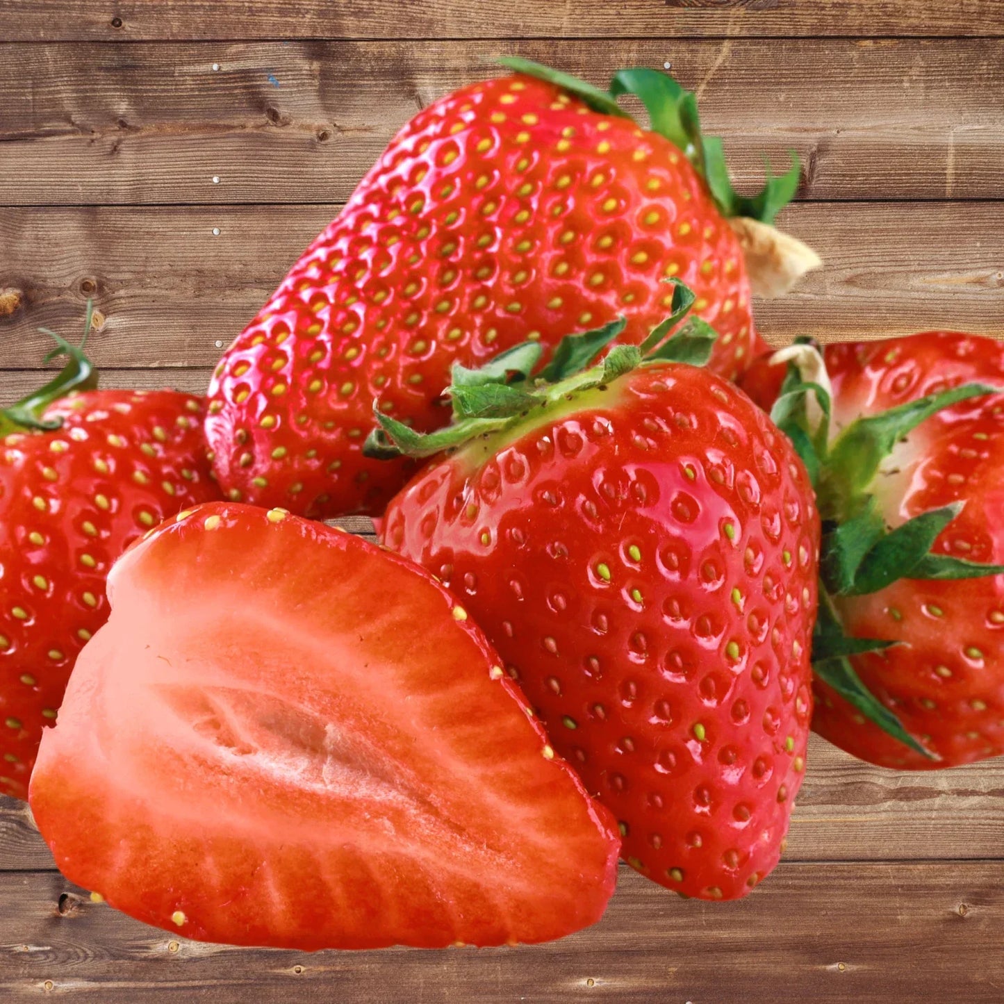 Seascape Strawberry Roots - Bare Root Plants, Ever-Bearing Fragaria x ananassa, Juicy Large Berries, Full Sun, Pack
