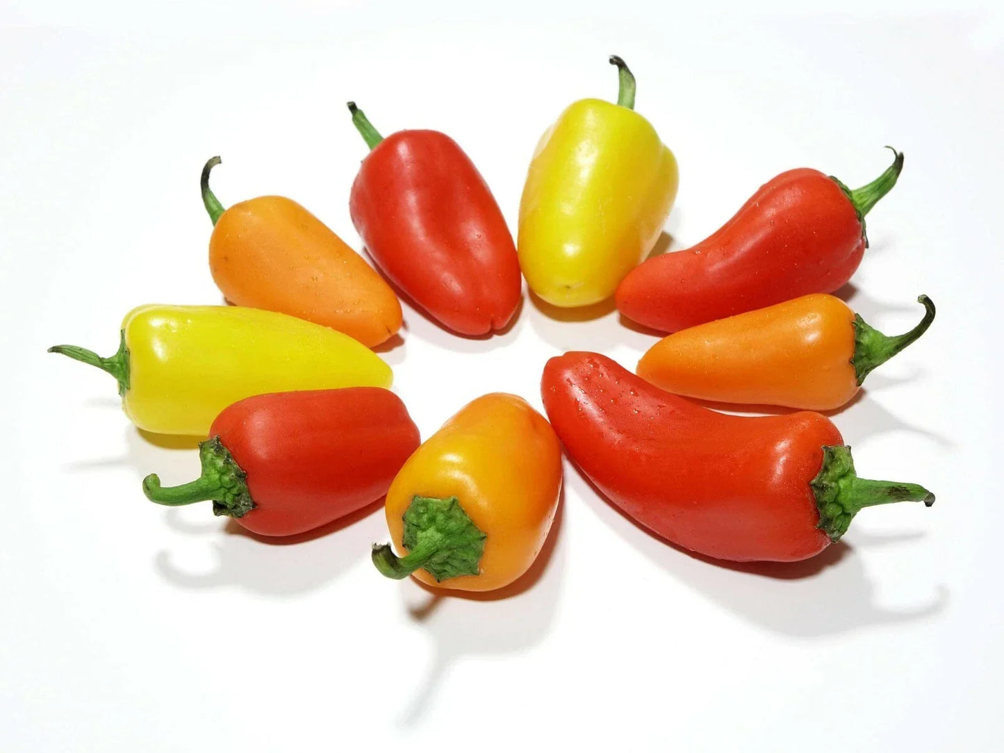 Santa Fe Grande Hot Pepper Seeds – Heirloom Capsicum annuum for Spicy Yellow to Orange Peppers, 3-4 Inches, Easy to Grow