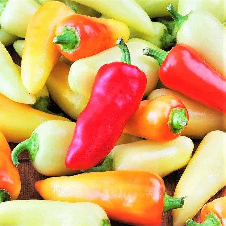Santa Fe Grande Pepper Seeds - 100+ Count, Medium Heat, Capsicum annuum, for Salsas, Sauces & Garden Planting