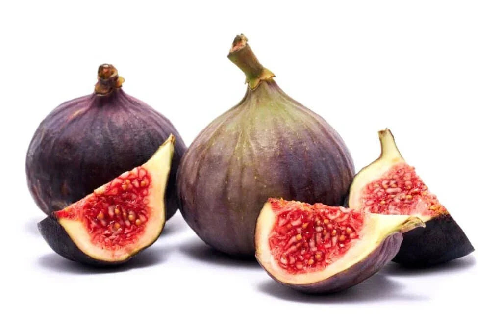 Texas Blue Giant Fig Seeds - 100+ Count - Ficus carica - Non-GMO - Ideal for Organic Gardening - USA Grown