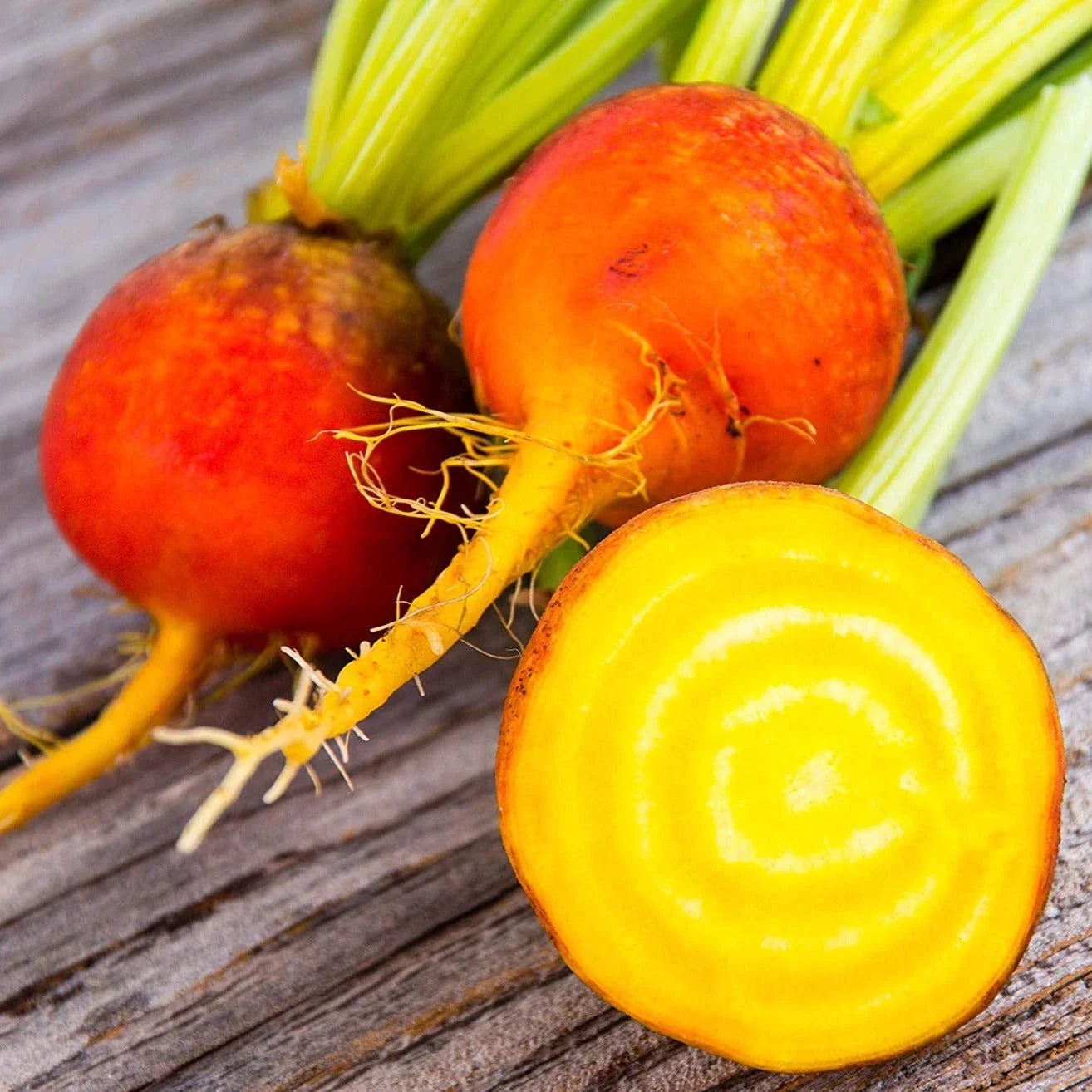 Golden Beet Seeds - 100+ Count, Beta vulgaris, Yellow & Orange Beets, Non-GMO, Sweet & Tender, Perfect for Home Garden & Small Farms