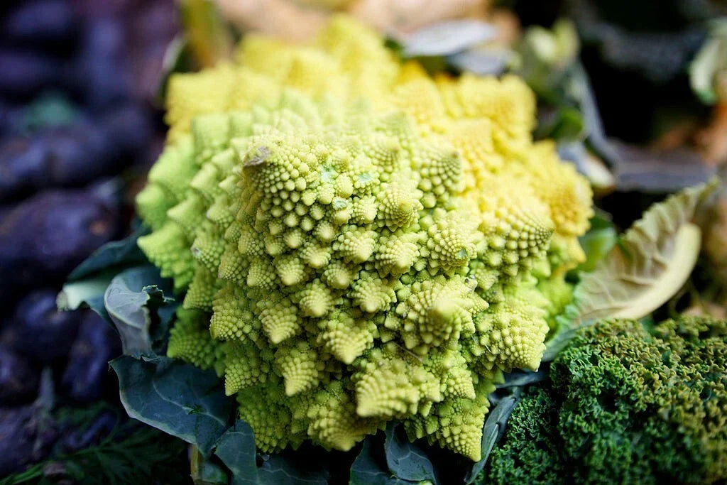 Romanesco Broccoli Seeds - 500 Non-GMO Heirloom Seeds, Brassica oleracea, Vibrant Green Florets, Full Sun, Easy to Grow, USA Seller