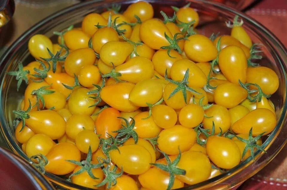 Yellow Pear Tomato Seeds - Heirloom Non-GMO Solanum lycopersicum - 60+ Organic Small Pear-Shaped Tomato Seeds