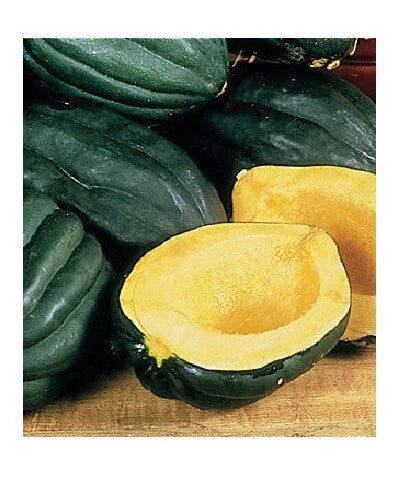 Table Queen Acorn Squash Seeds - Heirloom Bush Variety - Cucurbita pepo - 10-40 Non-GMO Seeds for Winter Gardens