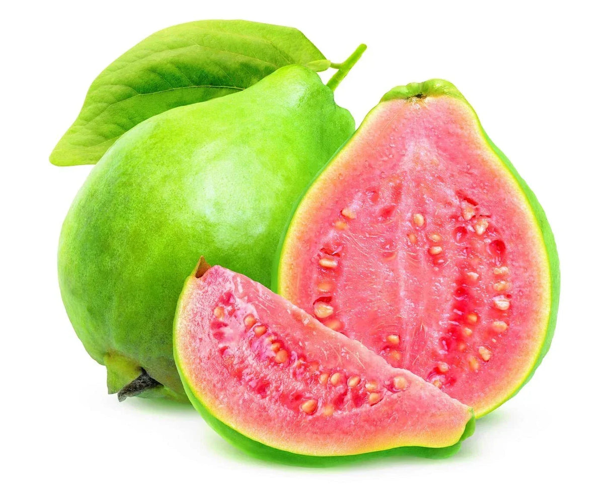 Guava Fruit Tree Seeds - Tropical Exotic Fruit for Home Gardening - Psidium guajava - Easy to Grow, Great for Containers