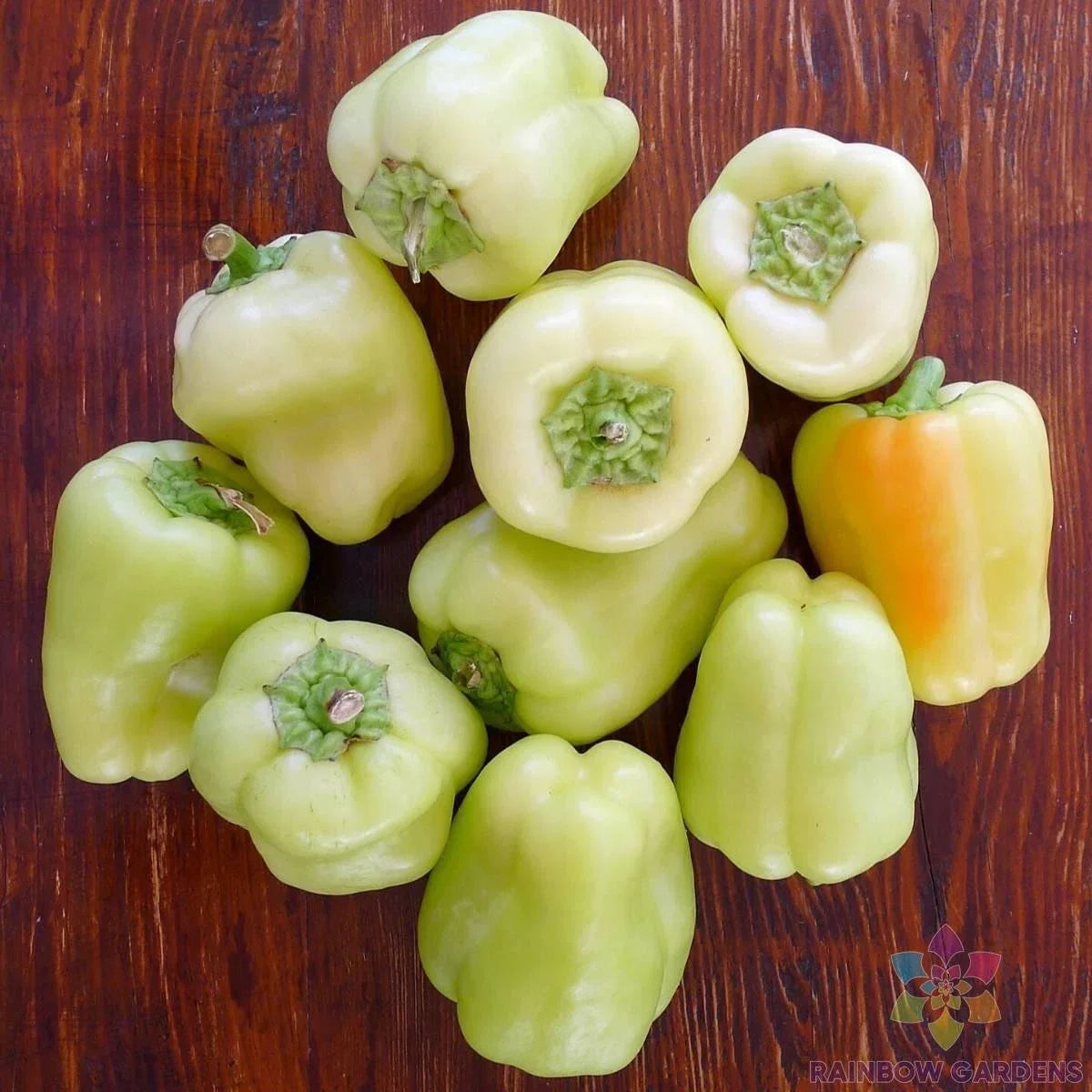 White Bell Sweet Pepper Seeds – Capsicum annuum – Non-GMO, Full Sun, 25+ Seeds for Garden & Container Planting