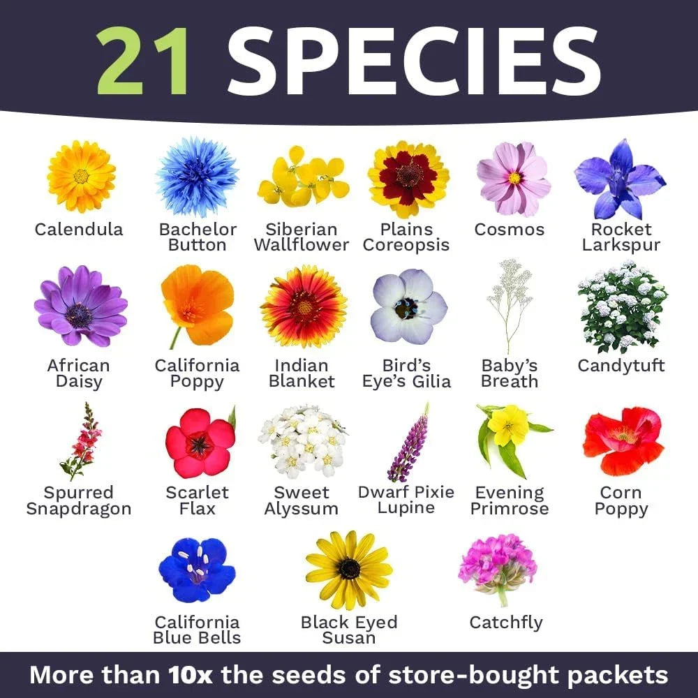 Bulk Wildflower Seeds 1/4 Pound Pack - Annual Quick Blooming Mix for Gardens & Landscapes - Over 30,000 Seeds