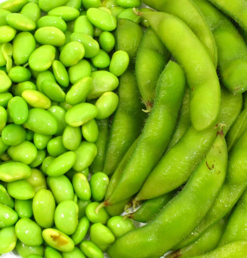 Edamame Soybean Seeds Pack of 10 Glycine max Be Sweet Asian Vegetable for Home Garden, Container, or Raised Bed