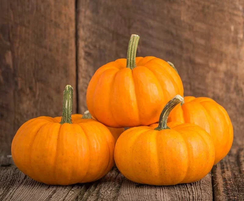 Baby Bear Pumpkin Seeds - 25+ Pack for Gardening, Cucurbita pepo, Non-GMO, Compact Bush Plant, USA Grown, Perfect for Cooking & Decor