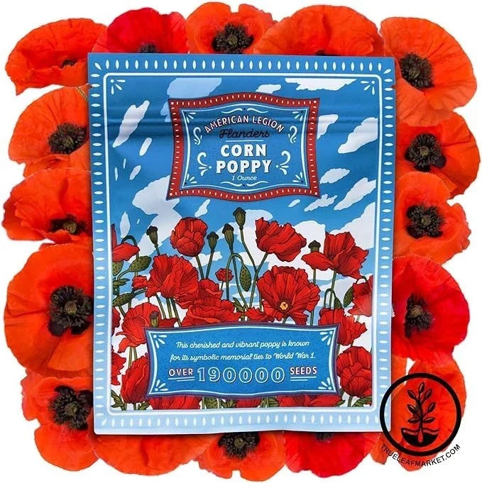 Corn Poppy Wildflower Seeds – 190,000+ Non-GMO American Legion Red Poppy Seeds (Papaver rhoeas) for Garden, Wildflower Meadow, and Pollinator Gardens