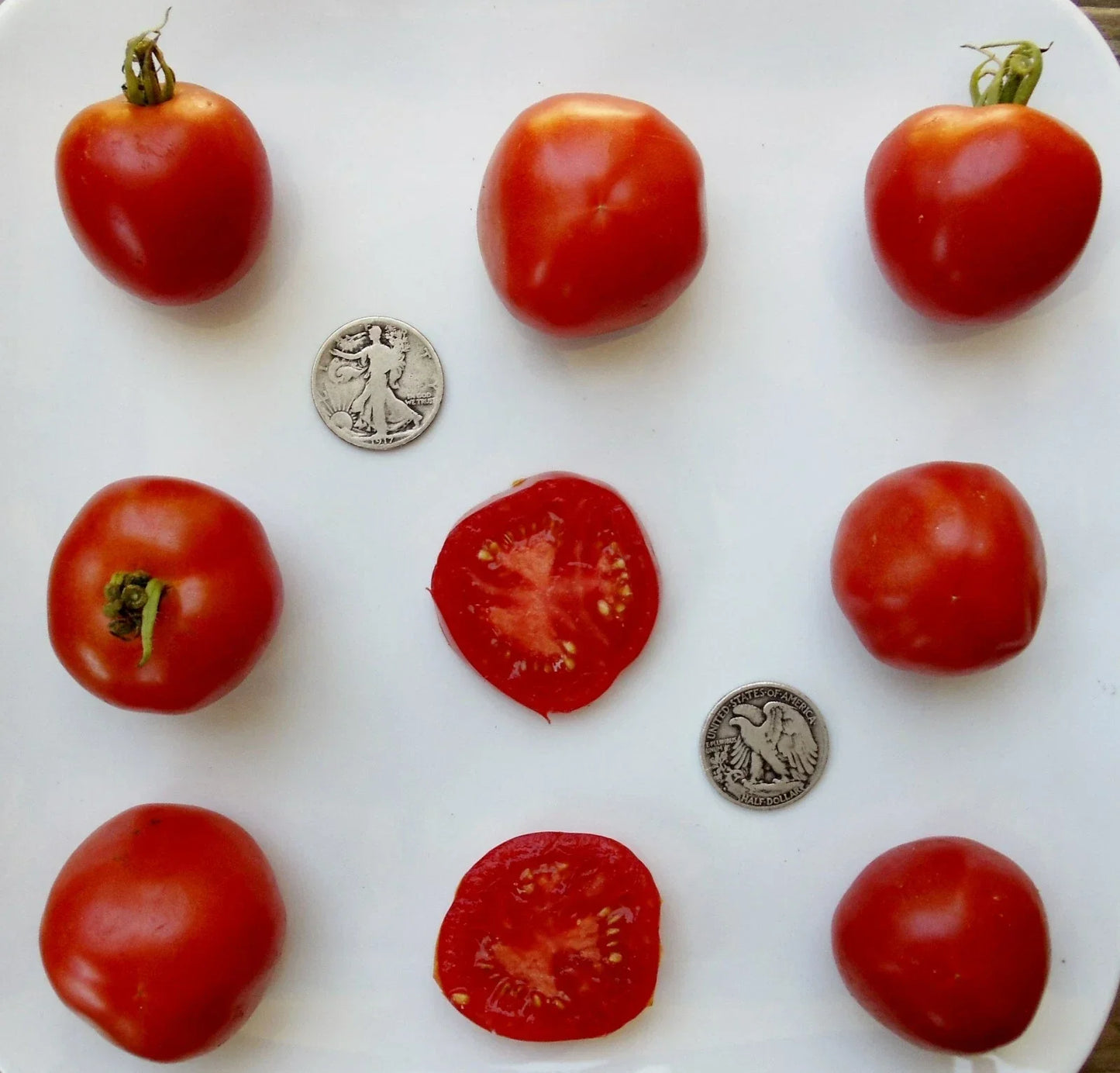 Stupice Tomato Seeds - Heirloom, Early Maturing, Solanum lycopersicum, 25 Fresh Seeds for Home Gardening