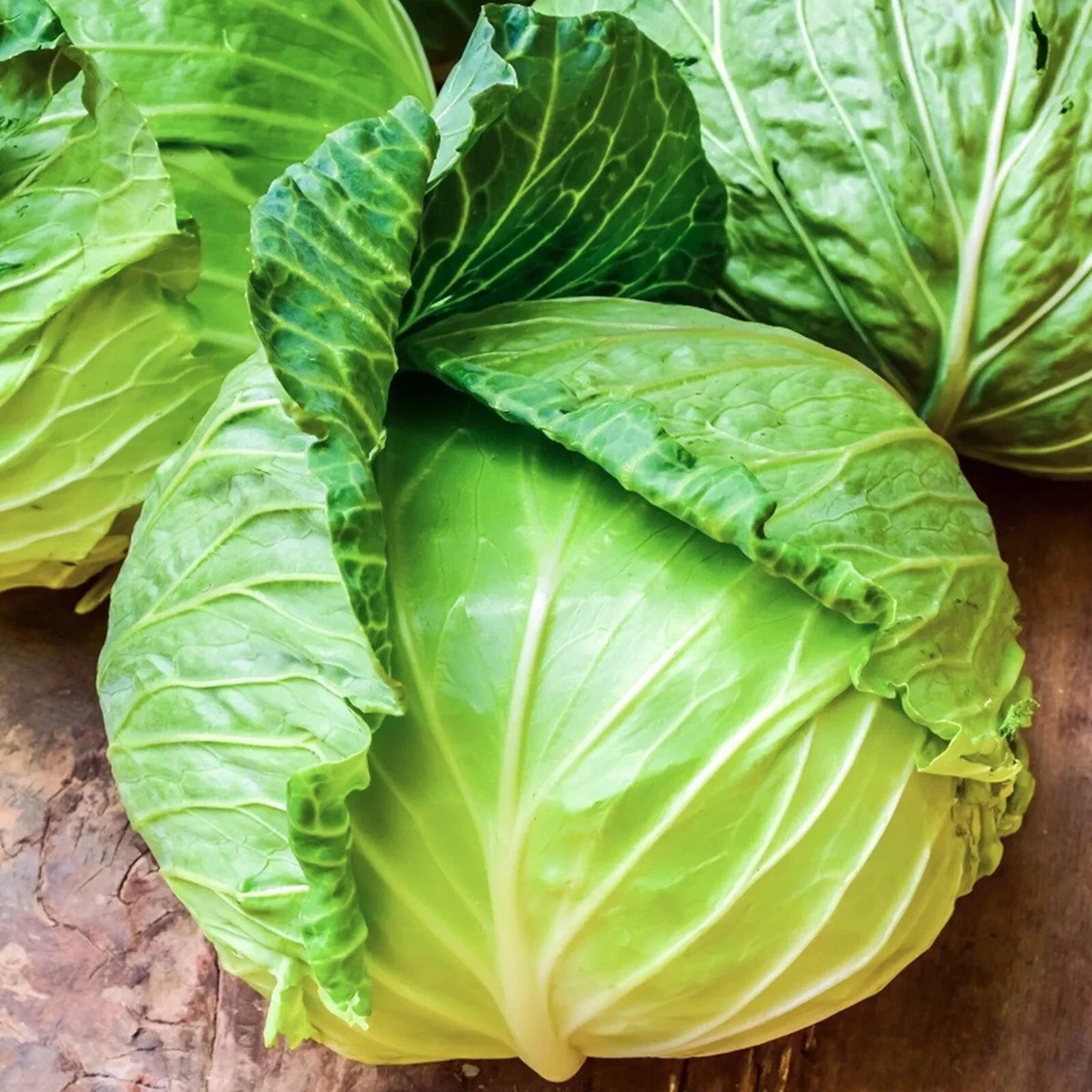 Golden Acre Cabbage Seeds – Heirloom, Non-GMO, Brassica oleracea, 400+ Packets for Home Garden, Compact, Fast-Growing