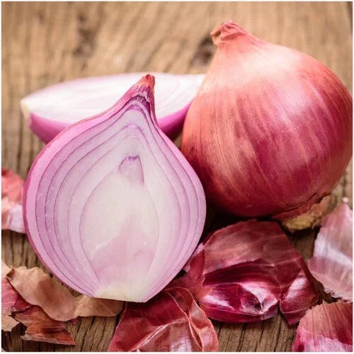 Ruby Red Onion Seeds - Heirloom Non-GMO Allium cepa Garden Seeds for Homegrown Onions