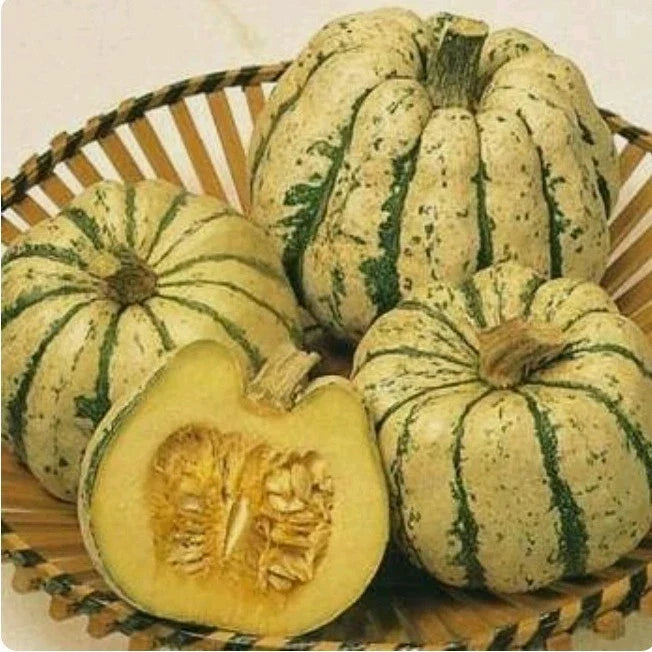 Sweet Dumpling Winter Squash Seeds - Non-GMO, Open Pollinated, Cucurbita pepo, Nutritious, High Yield, Fall Harvest, Vining Plant