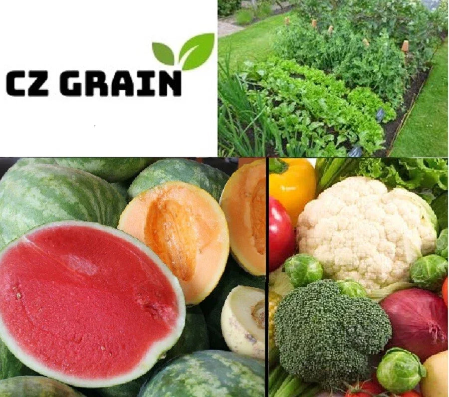 Vegetable Garden Seed Kit - 6 Non-GMO Varieties: Tomato, Carrot, Lettuce, Bean, Cucumber, Onion - Various Scientific Names