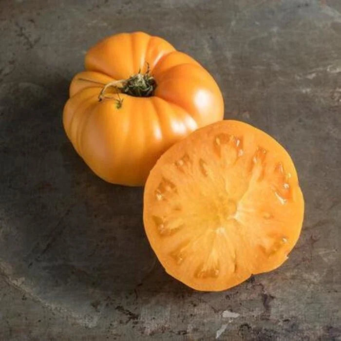 Yellow Brandywine Tomato Seeds - Heirloom Organic Non-GMO Solanum lycopersicum for Fresh Eating & Cooking