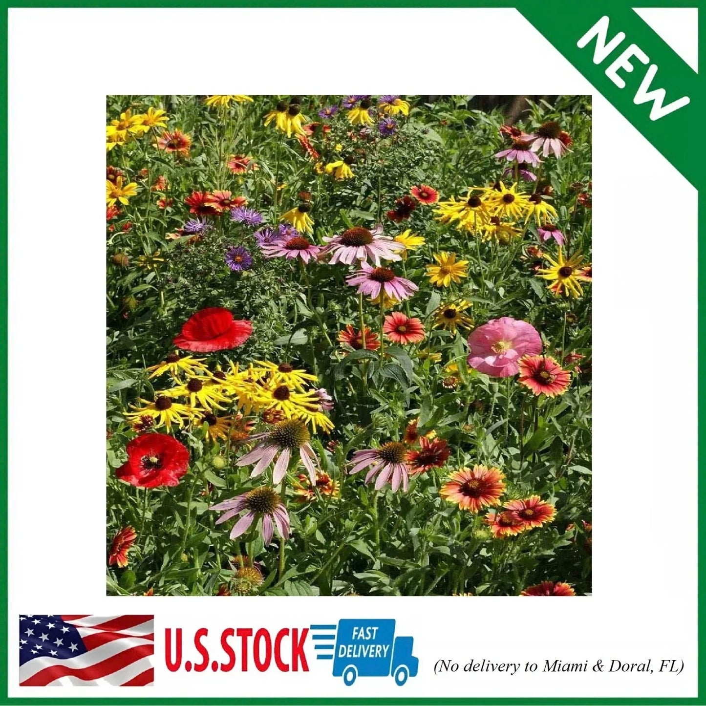 Wildflower Seed Mix 1 lb - Native Annual & Perennial Flowers for Pollinator Gardens - Midwest Native Wildflower Blend