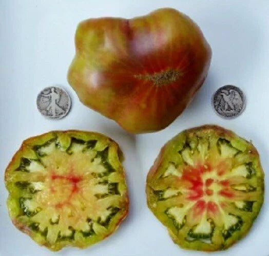 Ananas Noir Seeds - 25 Pack - Exotic Pineapple Variety - Ananas comosus - Tropical Fruit for Indoor & Outdoor Gardening