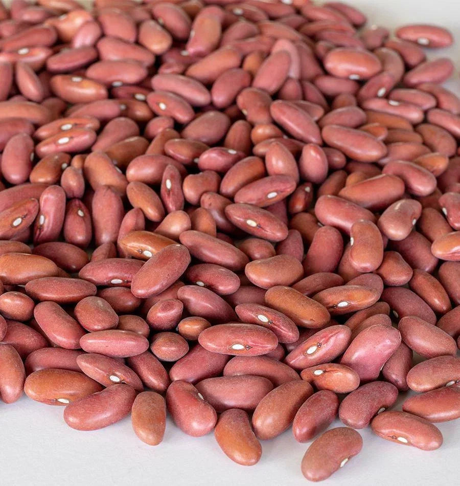Light Red Kidney Bean Seeds - Organic, Non-GMO, Phaseolus vulgaris, Bush-Type, Full Sun, Pack of 100 Seeds