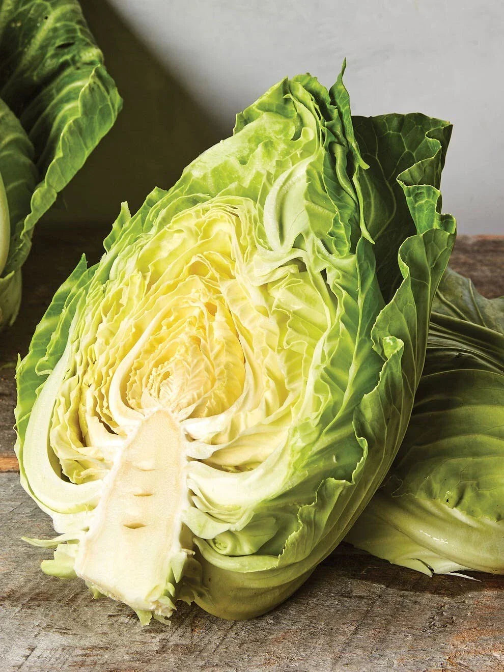 Early Jersey Wakefield Cabbage Seeds – Heirloom Organic Non-GMO Brassica oleracea, 250+ Seeds for Spring & Fall Gardens