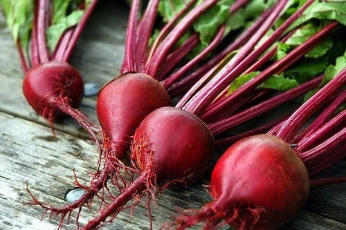 Beet Seeds - 200 Count - Ruby Queen Beta vulgaris for Canning, Pickling, Fresh Eating, Round Roots, Edible Tops, Garden, Kitchen