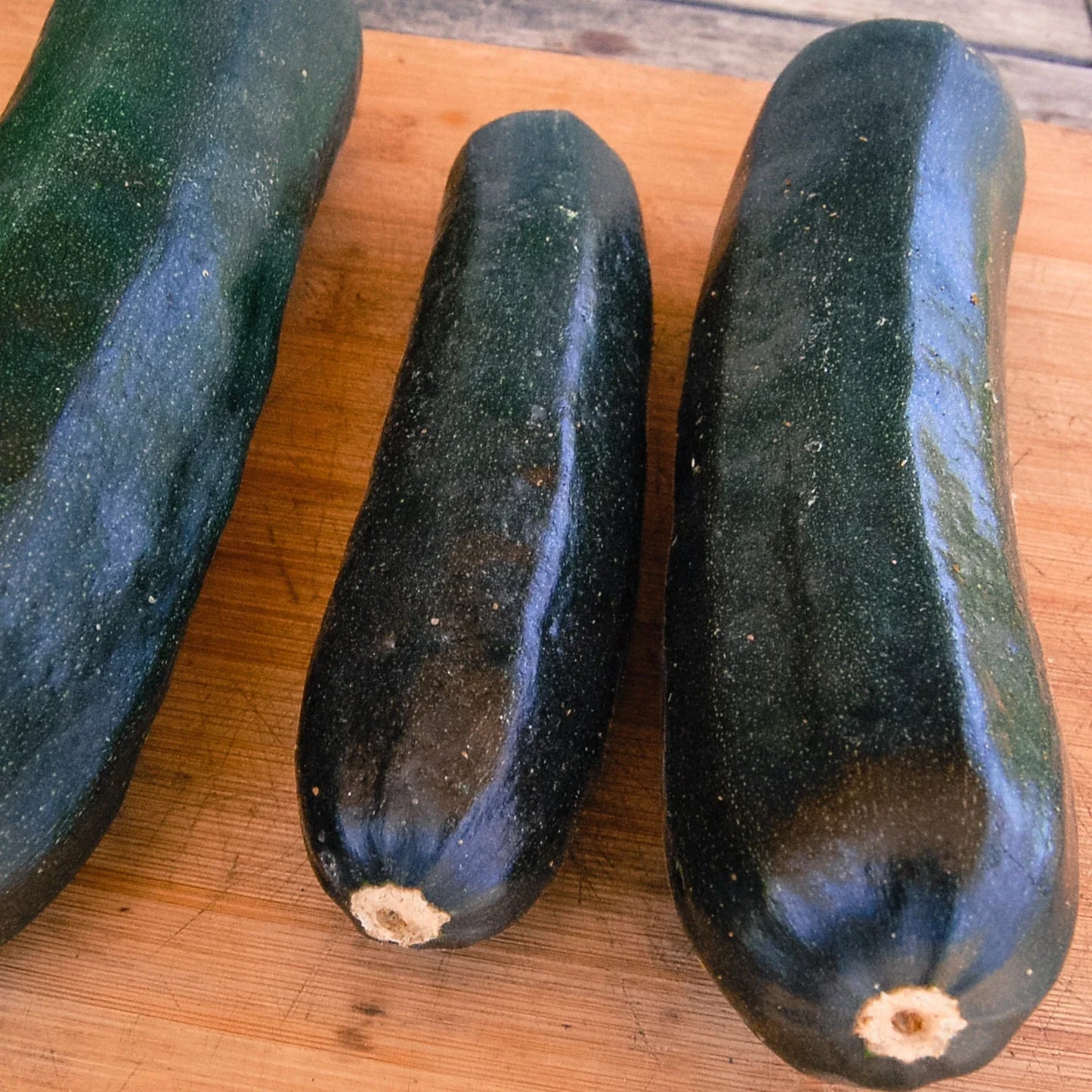 Black Beauty Zucchini Seeds - 20 Count Packet, Glossy Dark Green Cucurbita pepo, Bush-Type, Non-GMO Vegetable Seeds