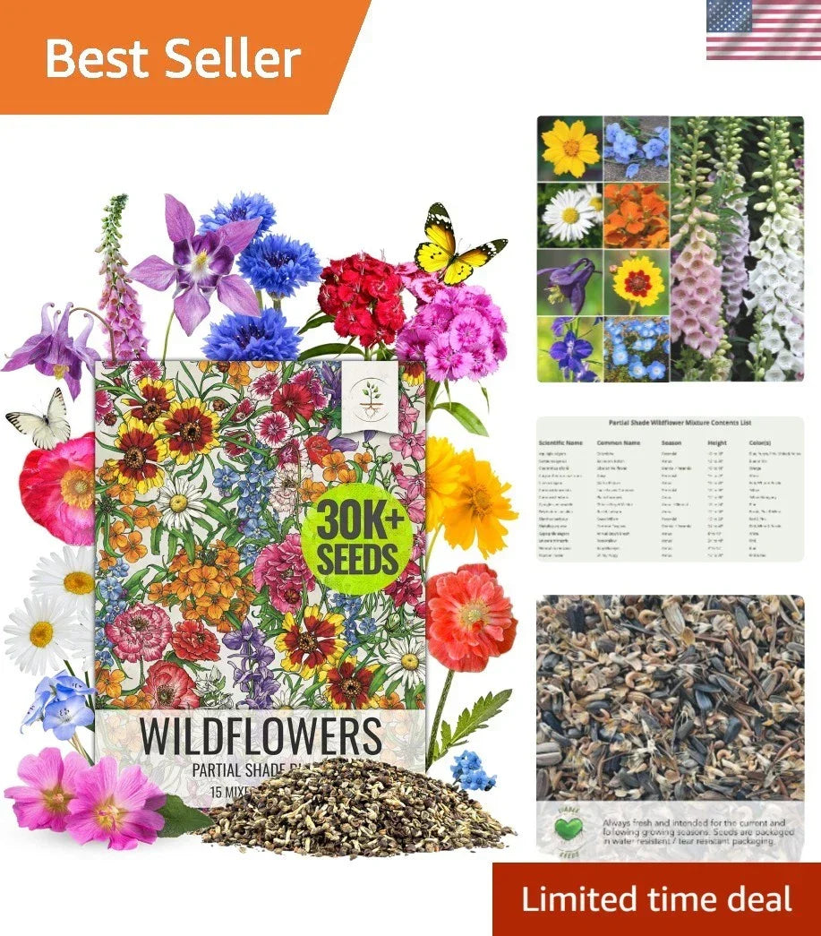 Wildflower Seed Collection 2 Ounce Mix for Pollinator Gardens, Open Pollinated Annuals & Perennials, Native Plants