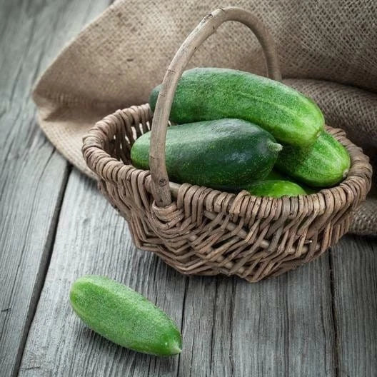 Spacemaster Cucumber Seeds – 80 Non-GMO Heirloom Cucumis sativus for Small Gardens & Containers