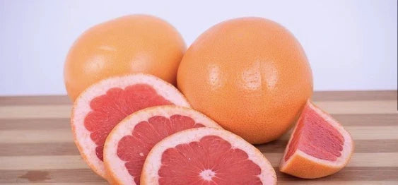 Pink Grapefruit Tree Cuttings 4 Pack Citrus × paradisi Home Gardening Indoor Planting Fruit Tree