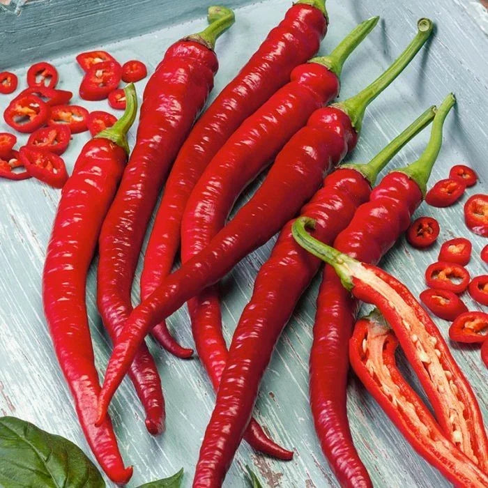 Cayenne Hot Pepper Seeds - 200+ Long Slim Organic Heirloom Non-GMO Capsicum annuum for Spicy Garden, Cooking & Pickling