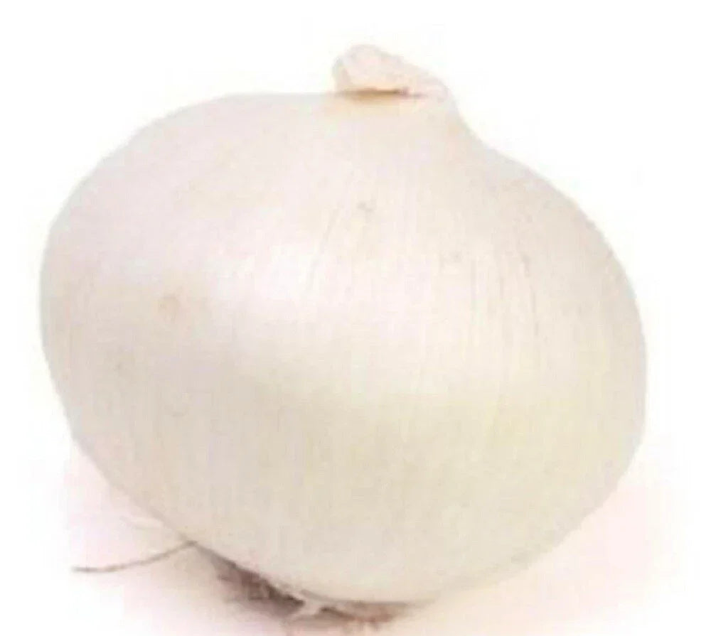 Eclipse L303 Onion Seeds - Non-GMO Heirloom Garden Seeds - Allium cepa Bulb-Forming, Full Sun, Easy to Grow