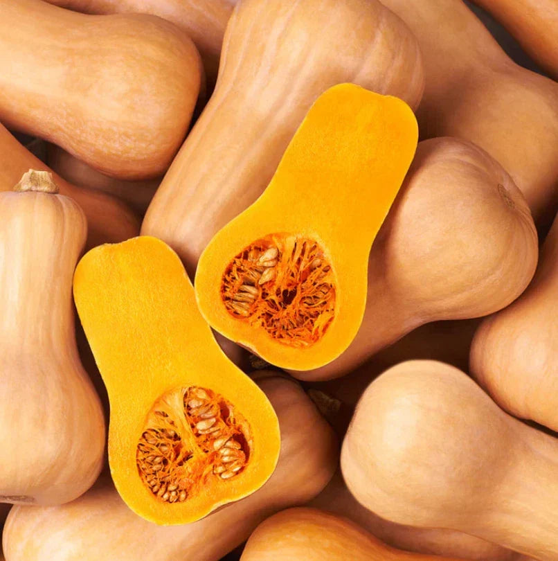 Waltham Butternut Winter Squash Seeds - Heirloom Non-GMO, Sweet, Cucurbita moschata, 30 Seeds