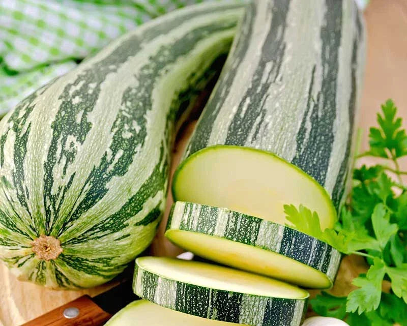 Cocozelle Squash Seeds - 25+ Heirloom Cucurbita pepo for Garden, Patio, Container Planting, Non-GMO, Full Sun