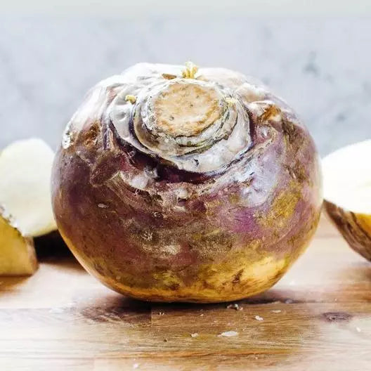 American Purple Top Rutabaga Seeds – 1000 Non-GMO Brassica napus Heirloom Vegetable Garden Seeds