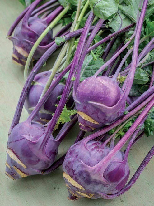 Purple Vienna Kohlrabi Seeds - Non-GMO Heirloom Brassica oleracea, 200+ Pack, Edible Bulbous Stem, Perfect for Fresh Salads & Cooking