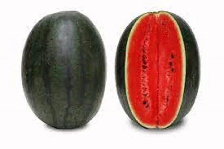 Premium Black Diamond Watermelon Seeds - Heirloom Citrullus lanatus for Home Gardening, Juicy, Large Fruit