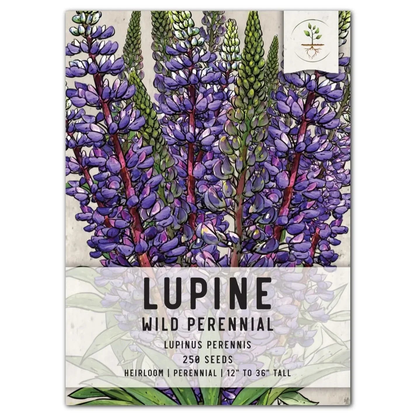 Wild Perennial Lupine Seeds - Blue Flowering Native Plant Seeds - Lupinus perennis for Garden, Pollinator Attracting, Easy to Grow