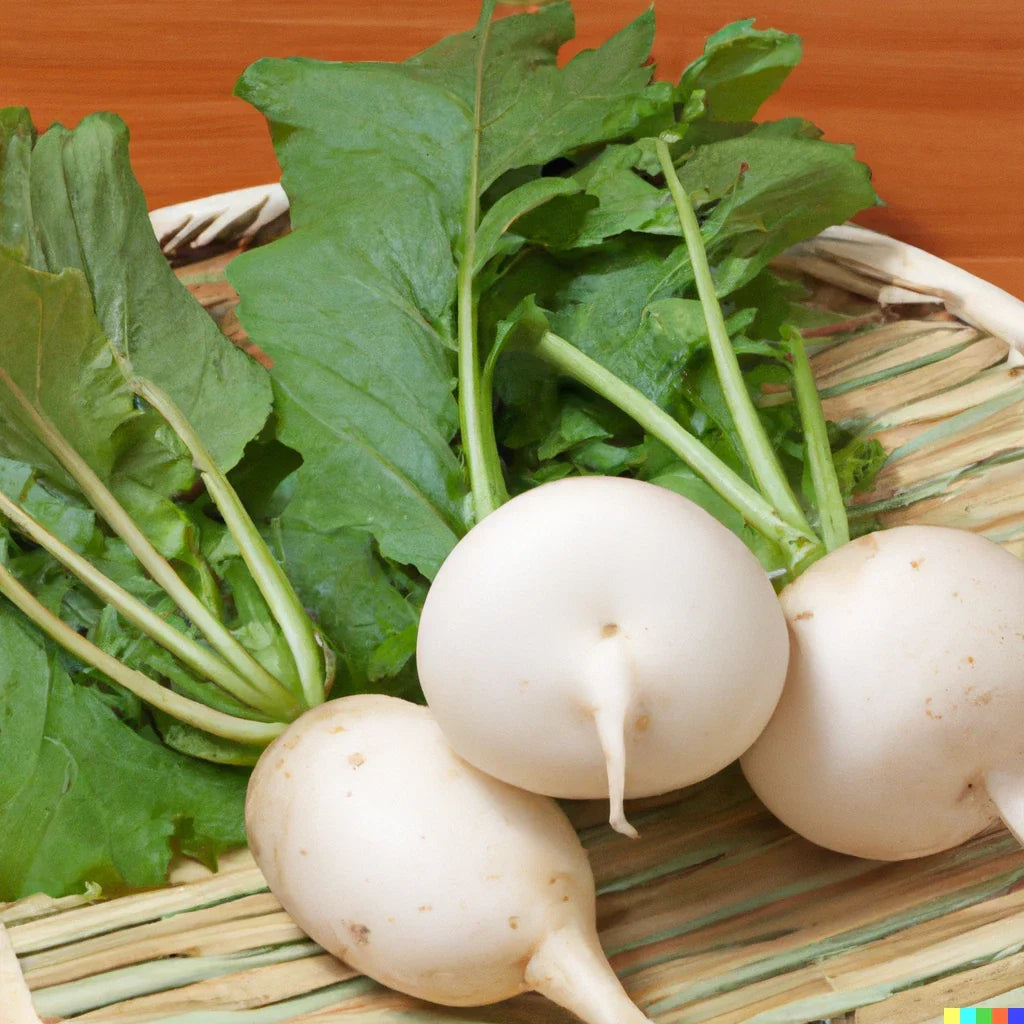 Bulk Shogoin Turnip Seeds 3,000 Count | Brassica rapa Vegetable Microgreen & Garden Seed